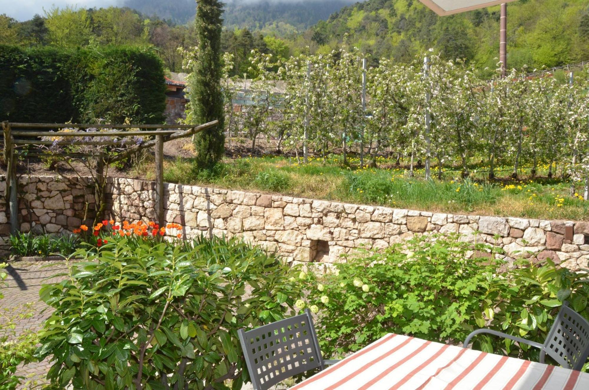 Schloss-Hof Appiano Sulla Strada Del Vino Kültér fotó