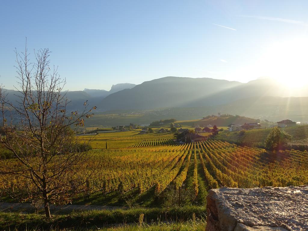 Schloss-Hof Appiano Sulla Strada Del Vino Kültér fotó