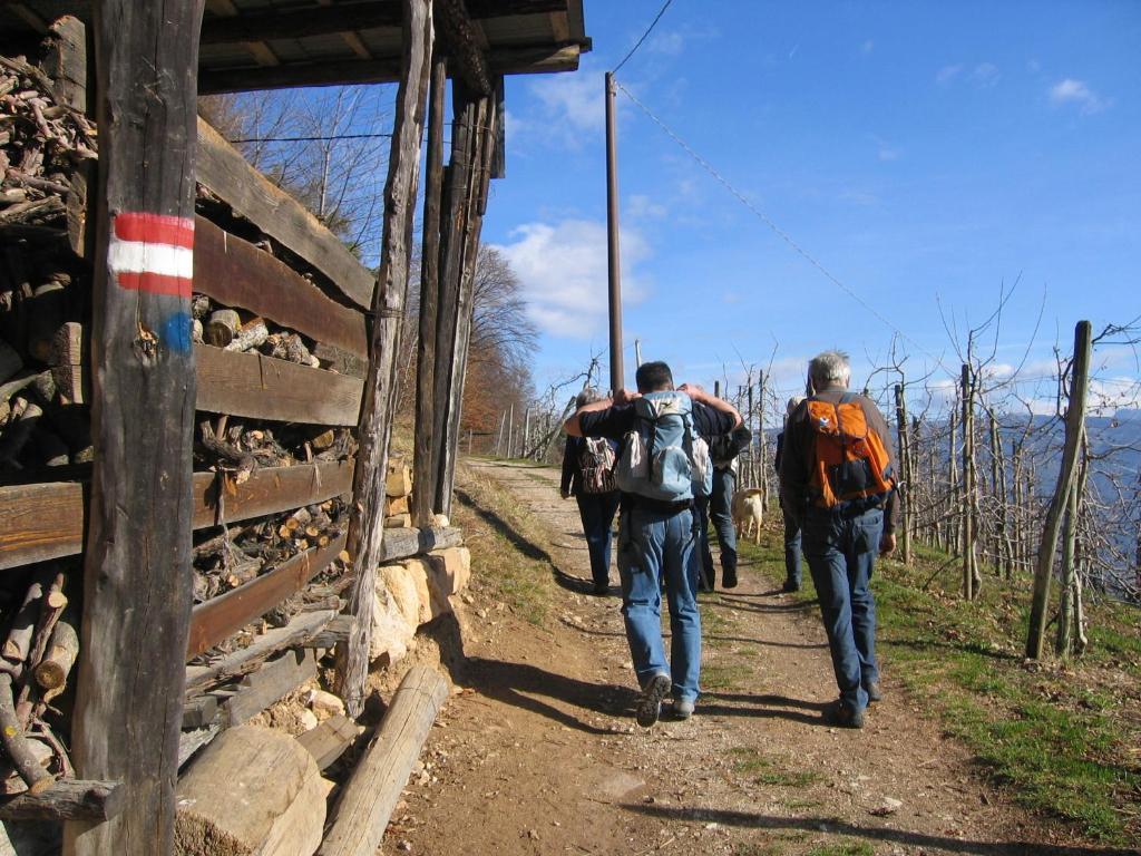 Schloss-Hof Appiano Sulla Strada Del Vino Kültér fotó