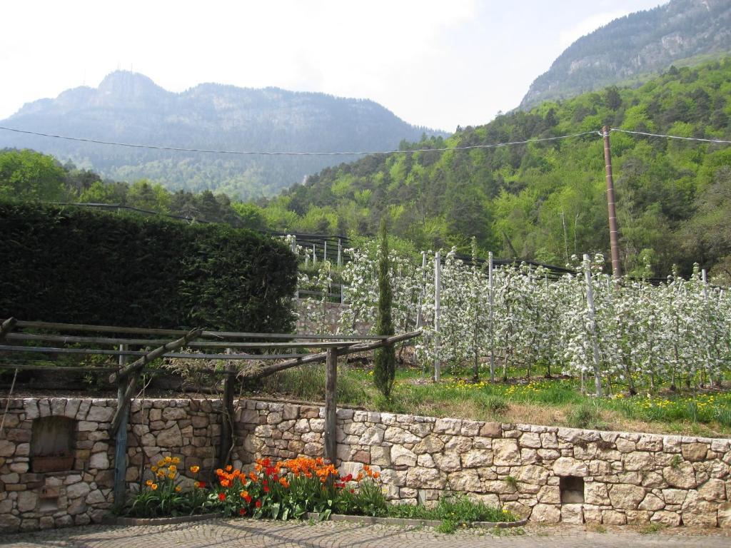 Schloss-Hof Appiano Sulla Strada Del Vino Szoba fotó
