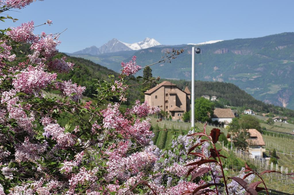 Schloss-Hof Appiano Sulla Strada Del Vino Kültér fotó